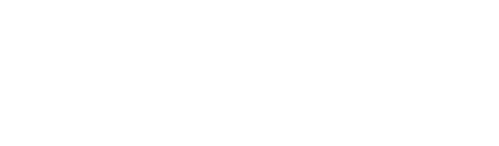 SelfExpress
